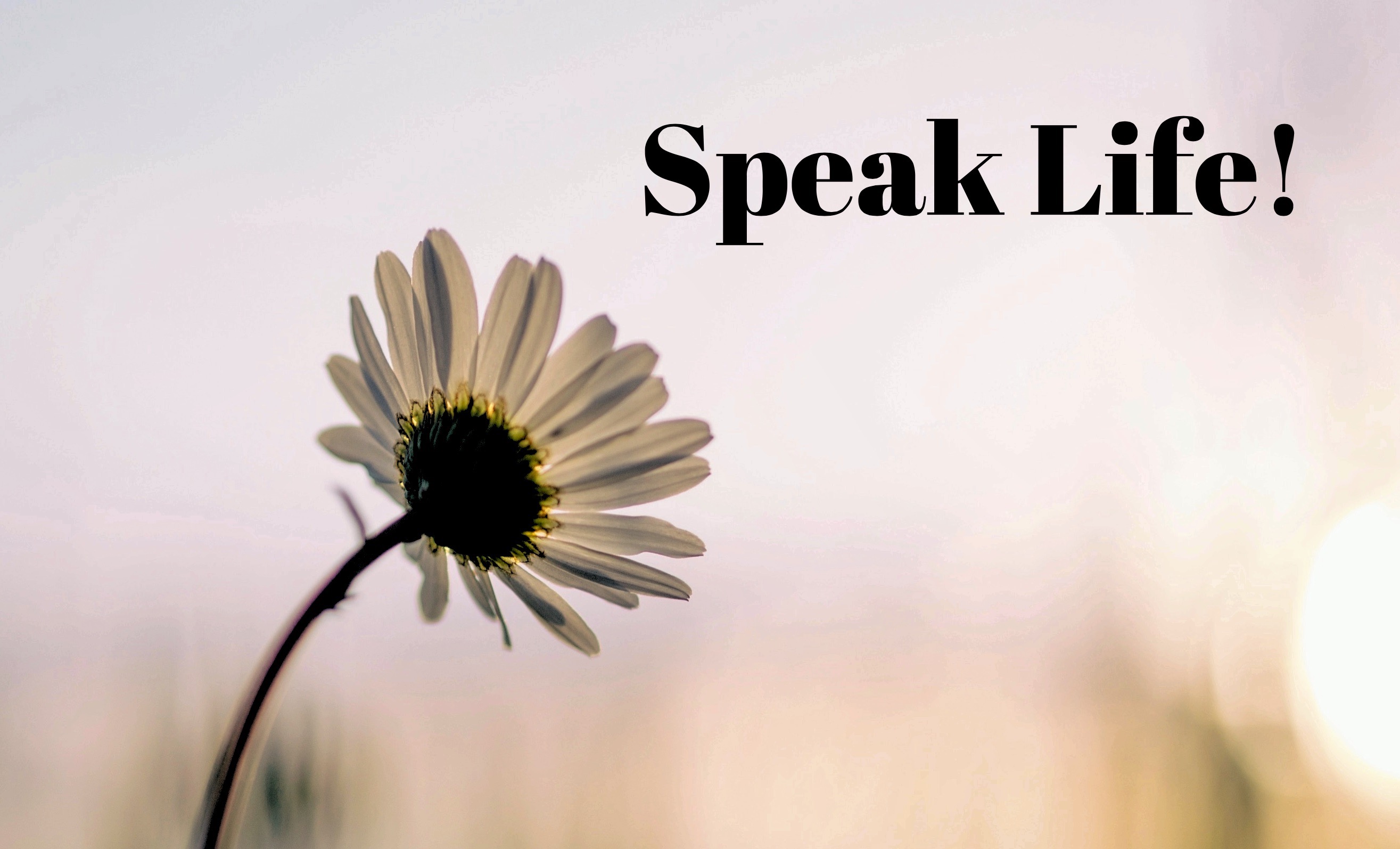 Speak Life flower